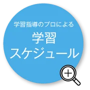 学習指導のプロによる学習スケジュール