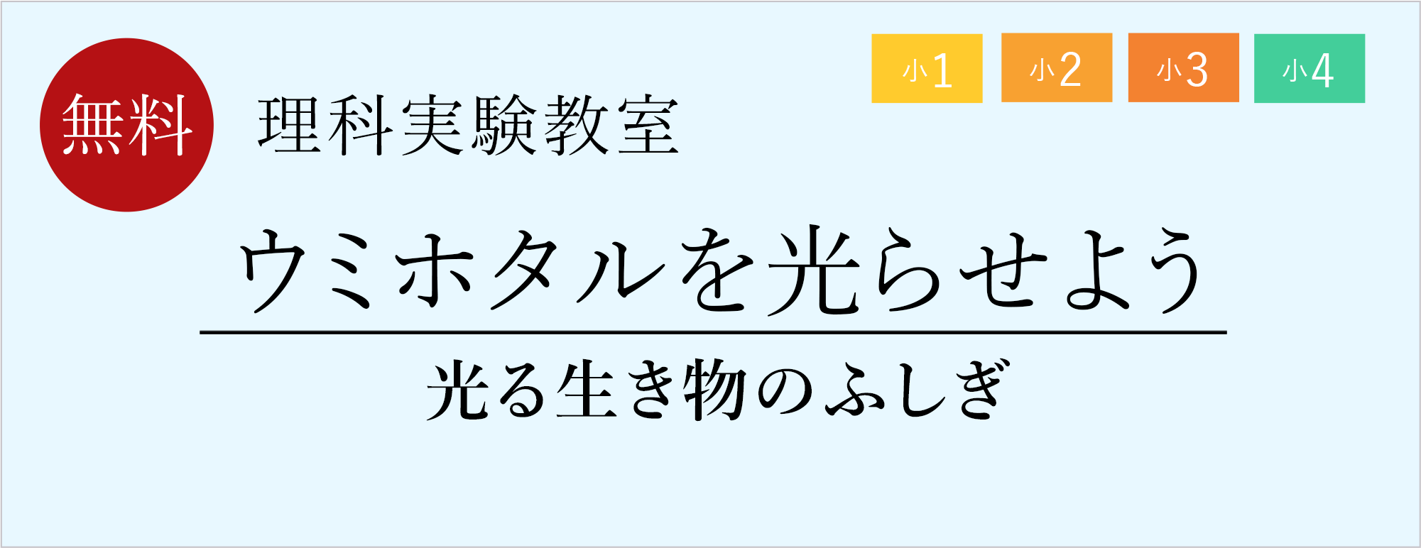 うみほたる