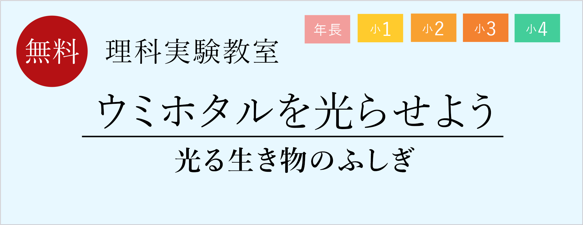 うみほたる