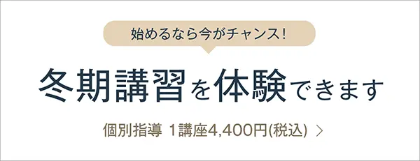 ビザビ冬期講習バナー